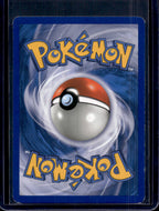 Chimchar 14/17 Raw RookieLegends