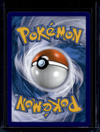 M Charizard EX 13/106 Raw RookieLegends