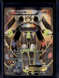 Zygarde EX 54a/124 Raw