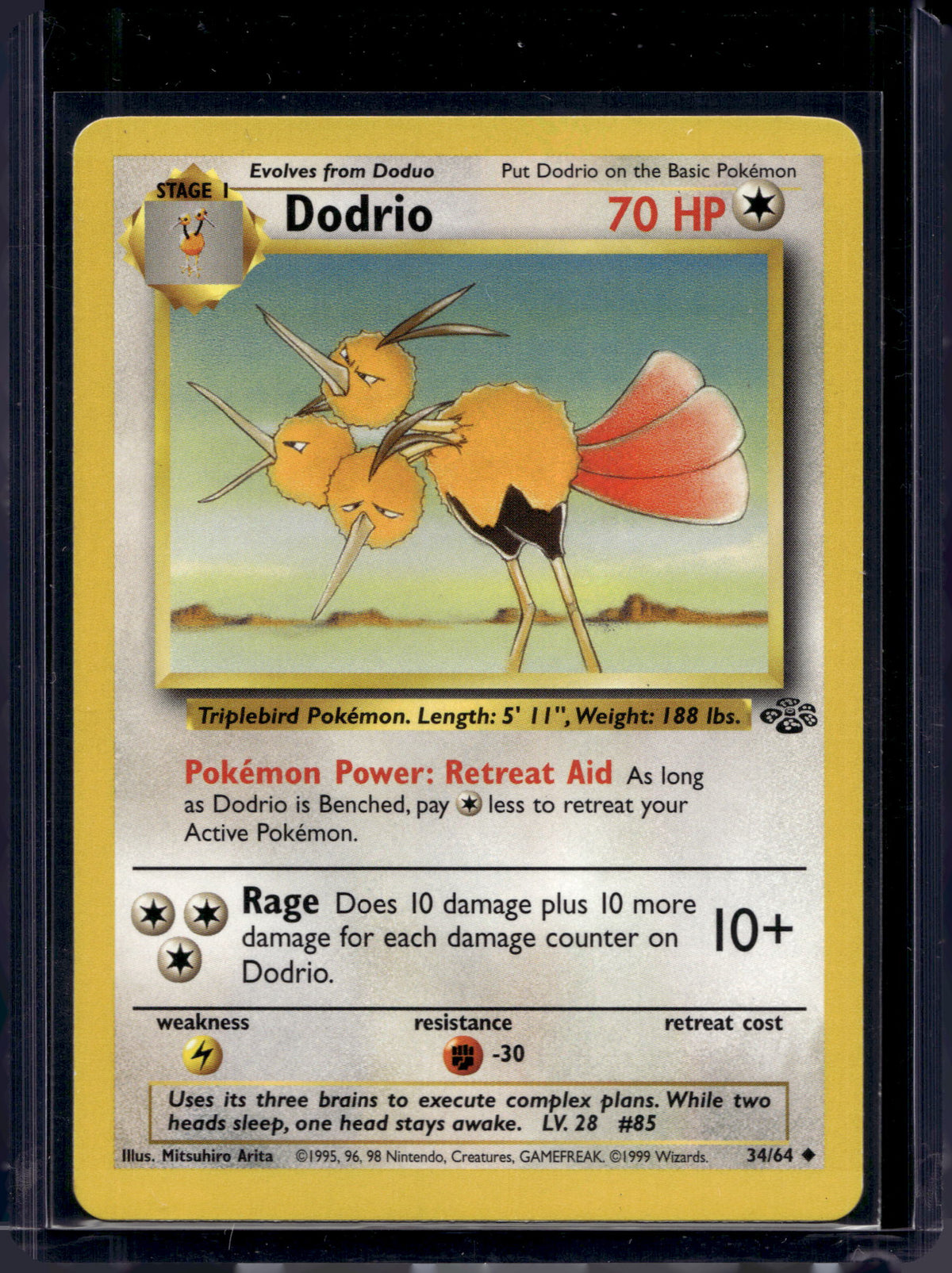Dodrio (Jungle - Unlimited) 34/64 Raw