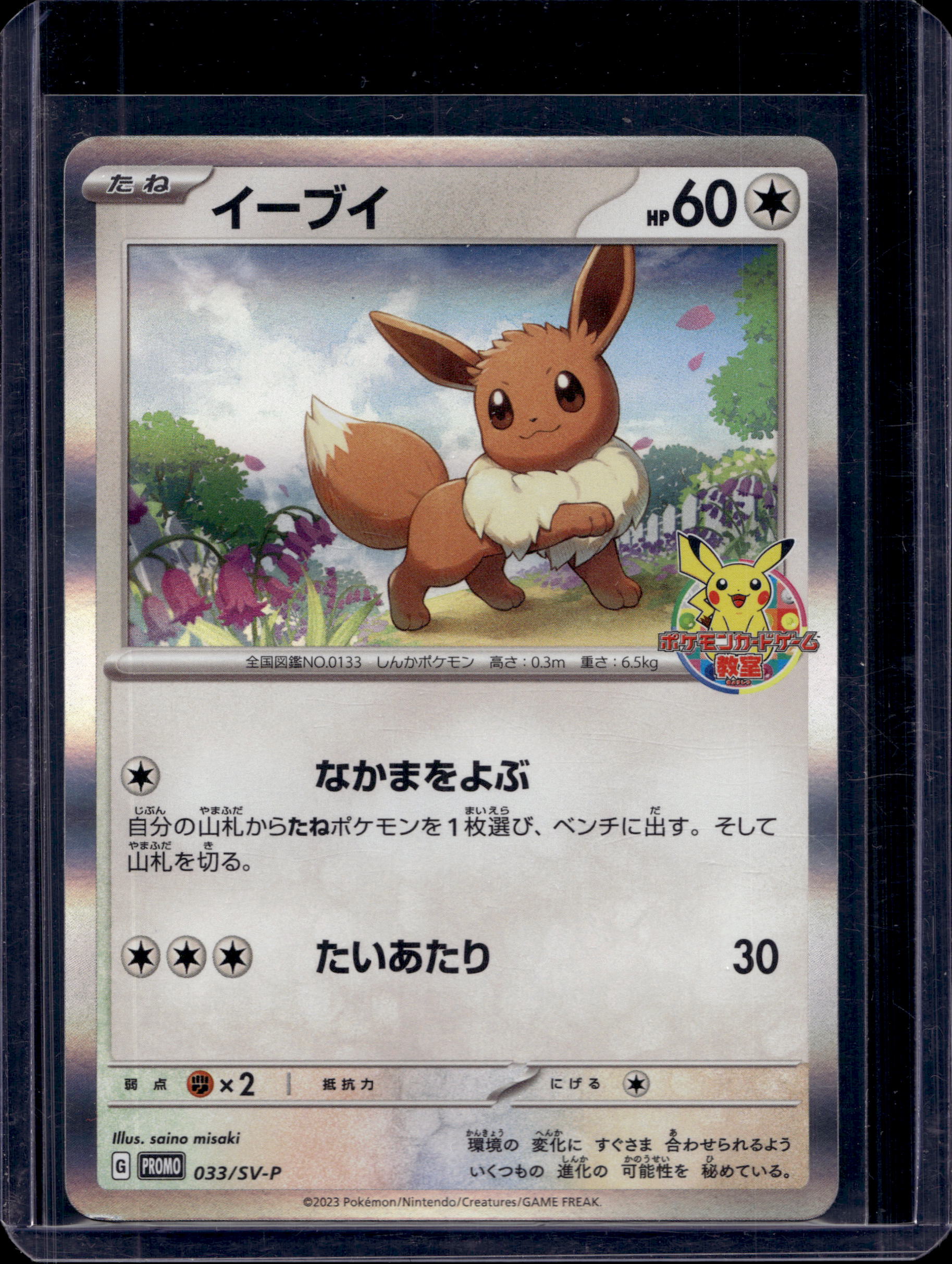 Eevee (JP) 033/SV-P Raw - RookieLegends
