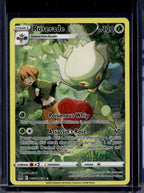 Roserade TG02/TG30 Raw