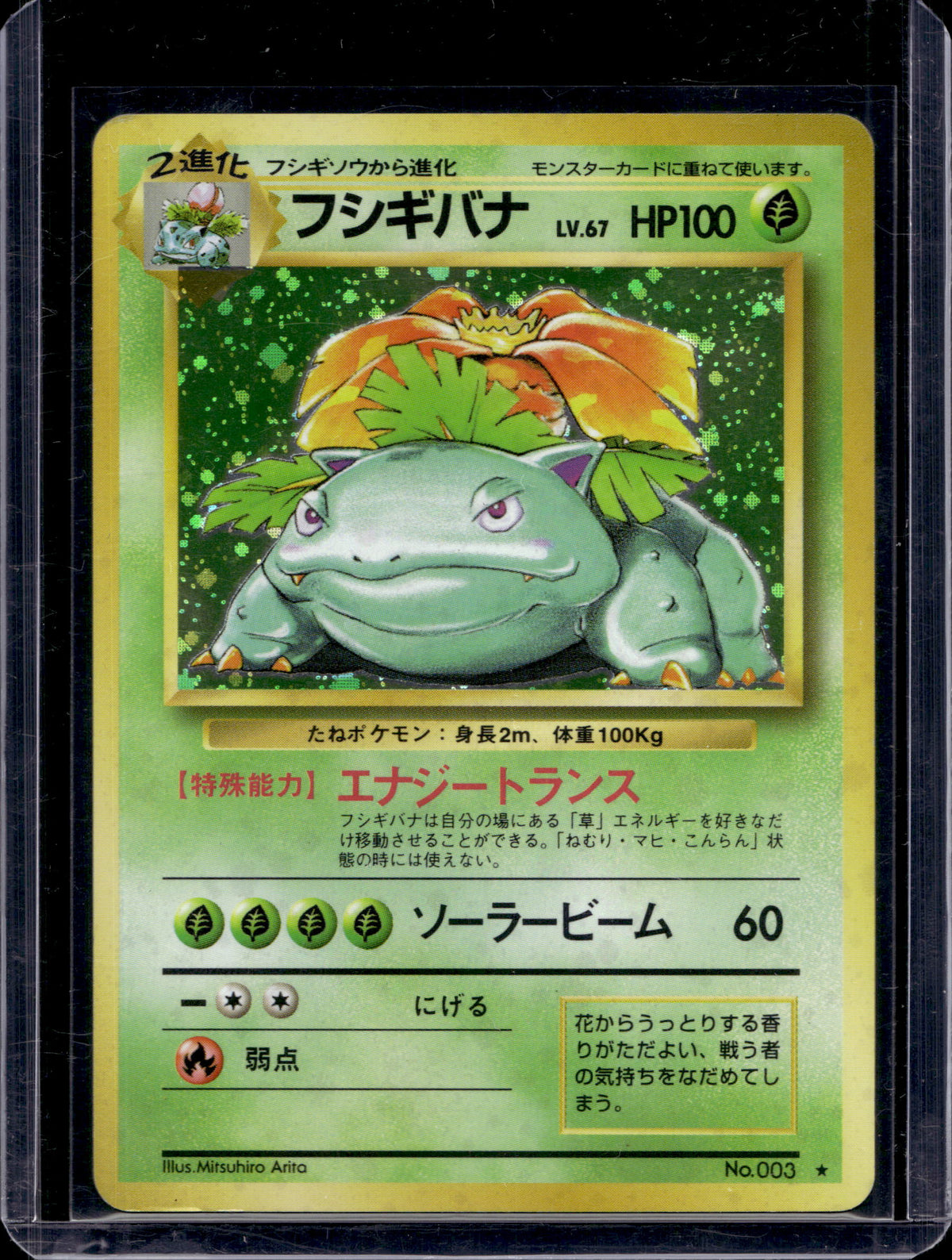 Venusaur (JP) (Base Set) - Holofoil - 003 Raw