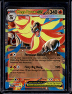 Mega Pyroar Ex 015/086 Raw RookieLegends