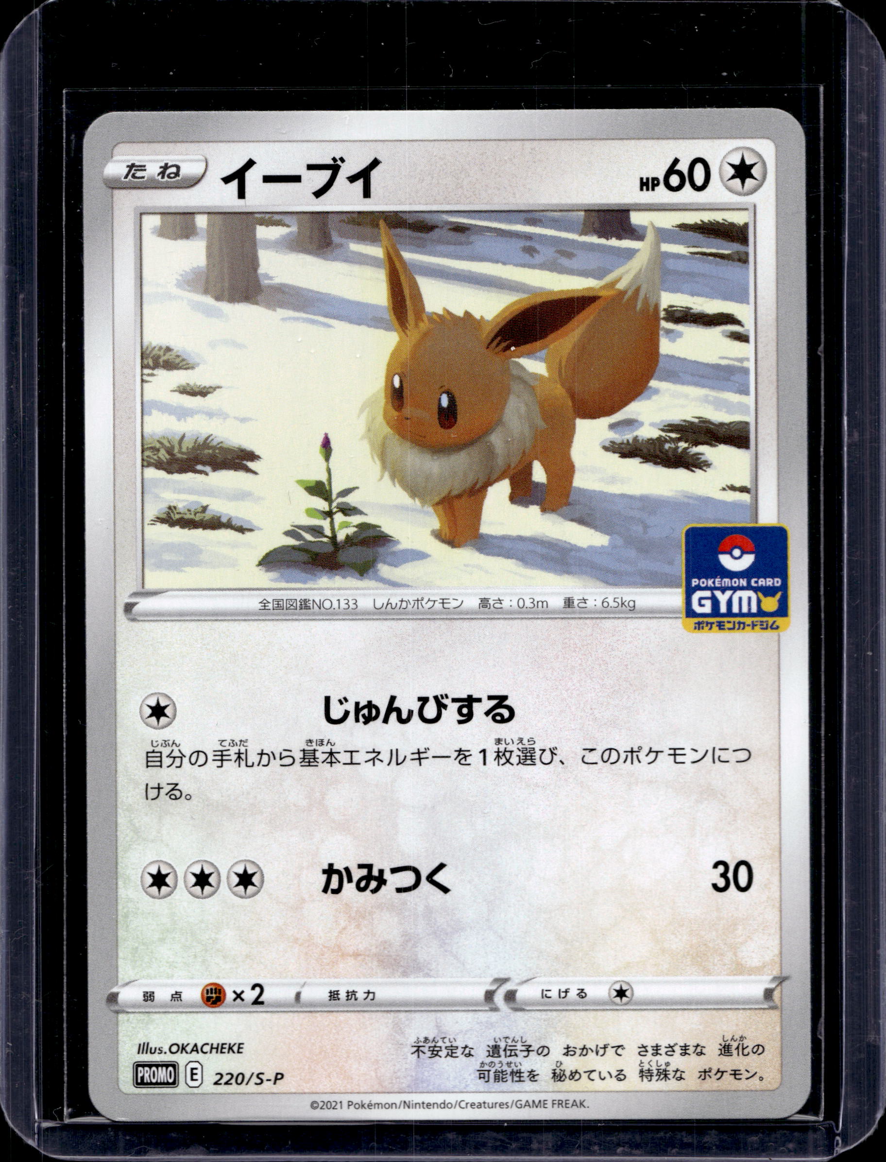 Eevee (JP) 220/S-P Raw RookieLegends