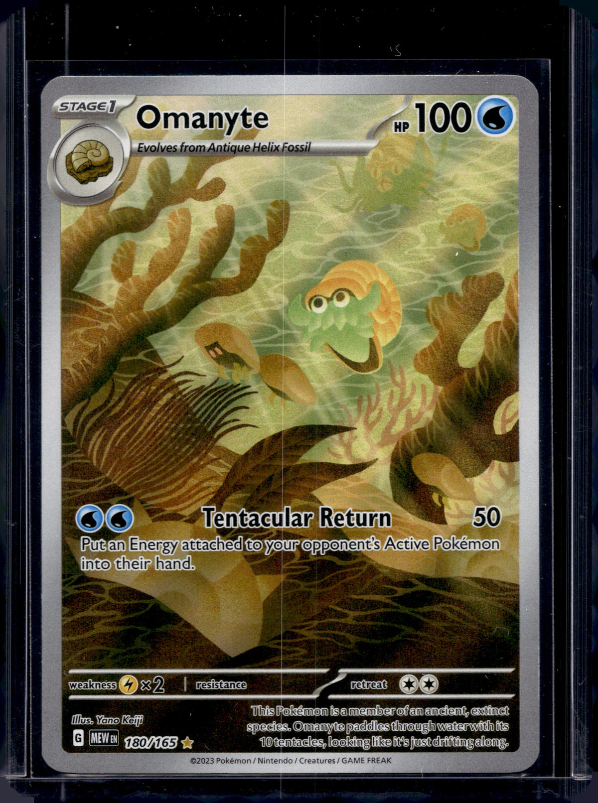 Omanyte 180/165 Raw
