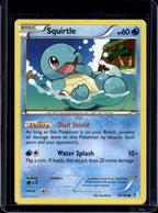 Squirtle 29/149 Raw