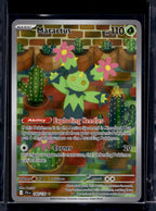 Maractus 160/159 Raw