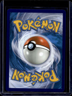 Pikachu 241/236 Raw RookieLegends