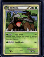 Torterra 10/95 Raw RookieLegends