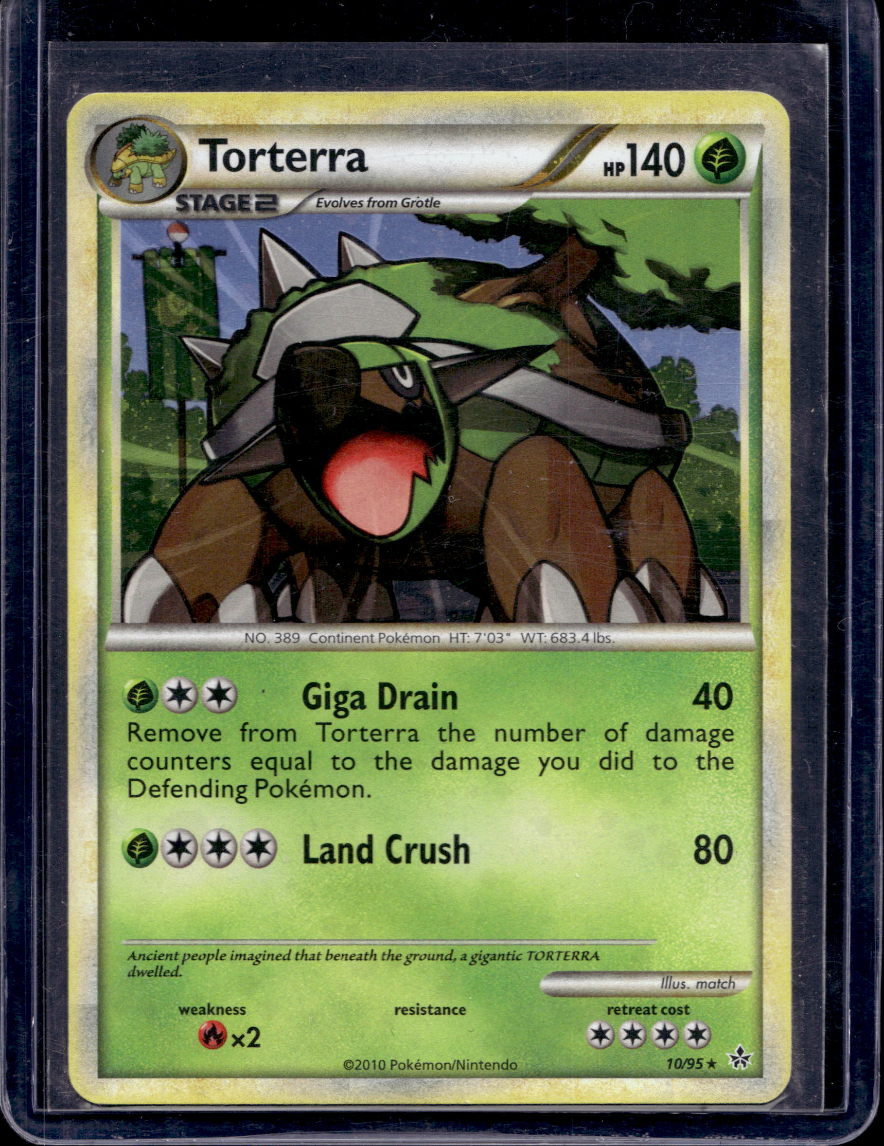 Torterra 10/95 Raw RookieLegends