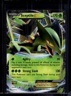 Sceptile EX XY53 Raw