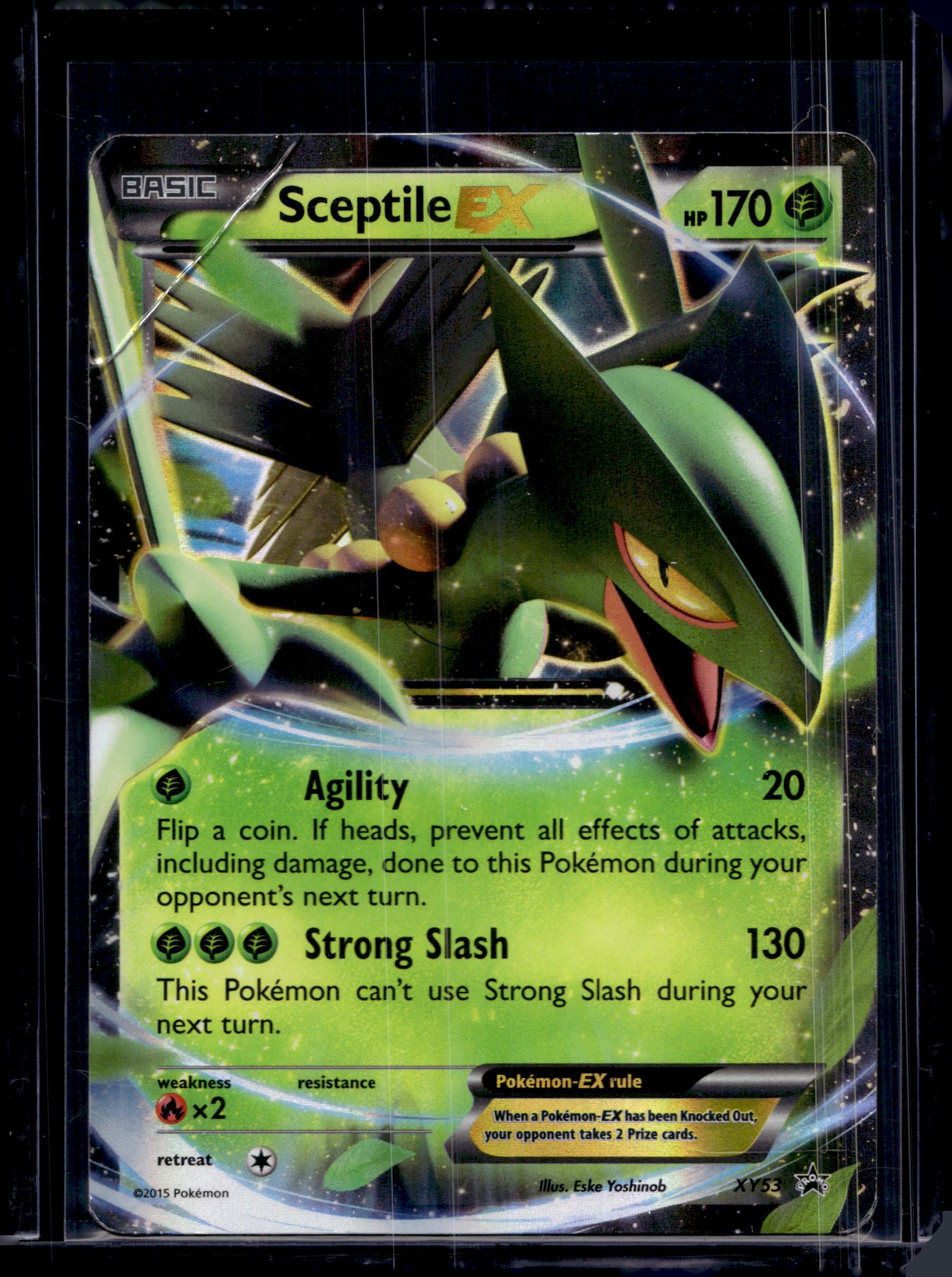 Sceptile EX XY53 Raw