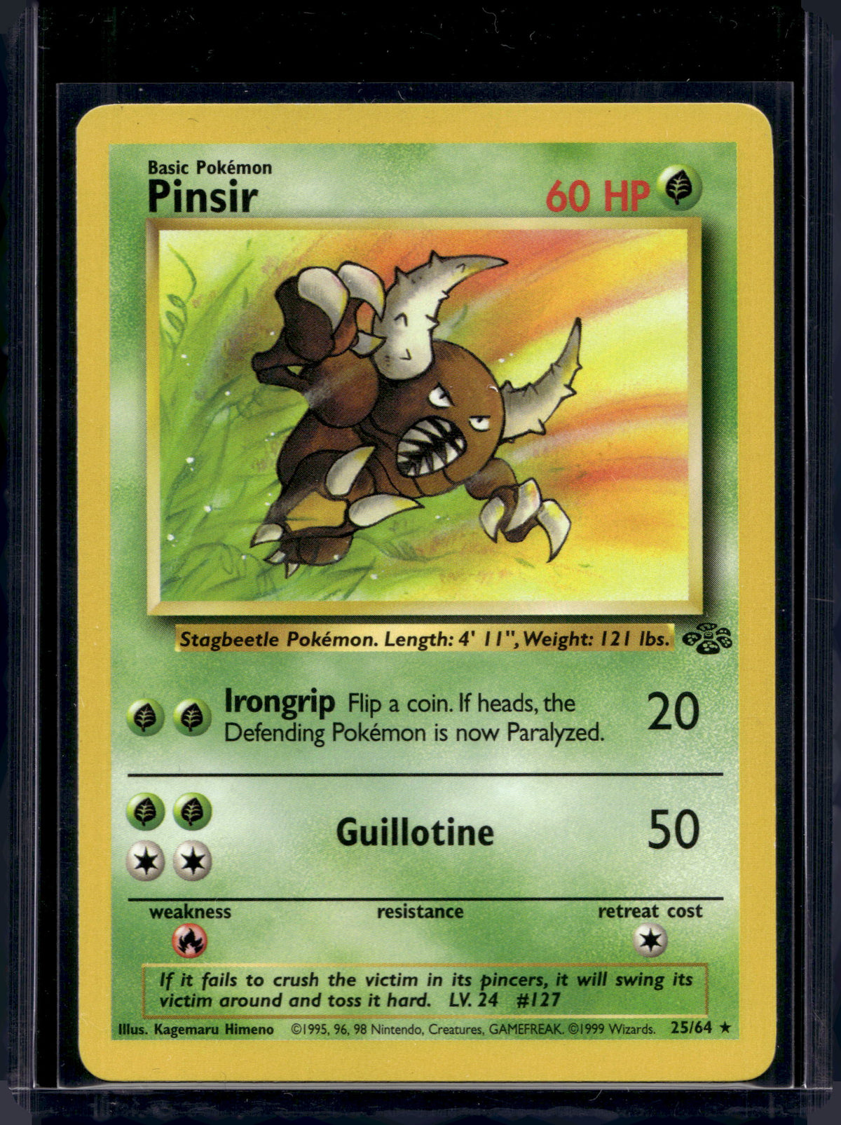 Pinsir (Jungle - Unlimited) 25/64 Raw