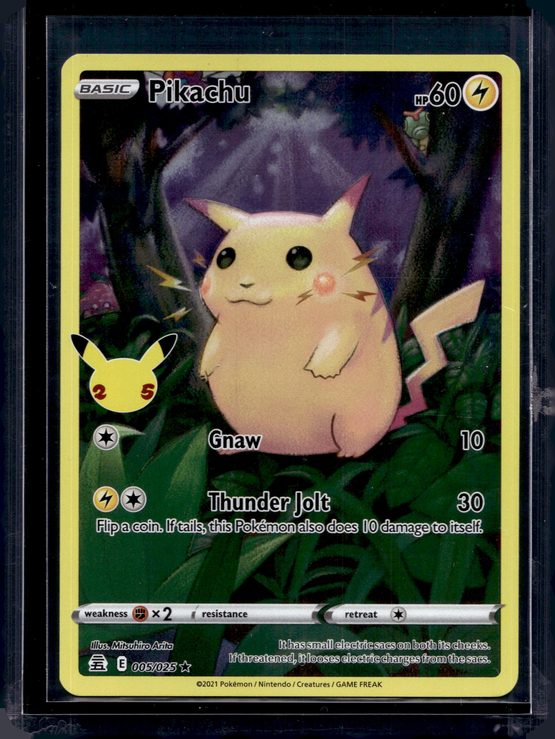 Pikachu 005/025 Raw RookieLegends