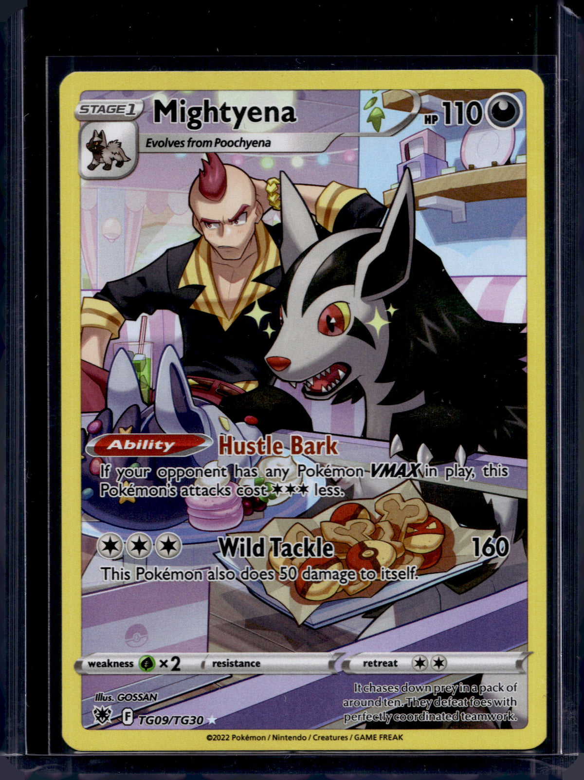 Mightyena TG09/TG30 Raw