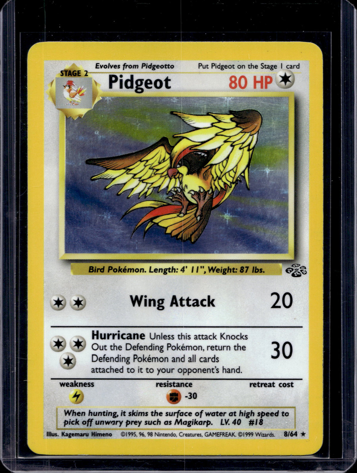 Podgeot (Jungle - Holofoil) 8/64 Raw
