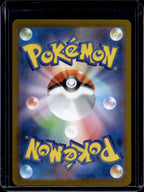 Eevee 755/742 Raw RookieLegends