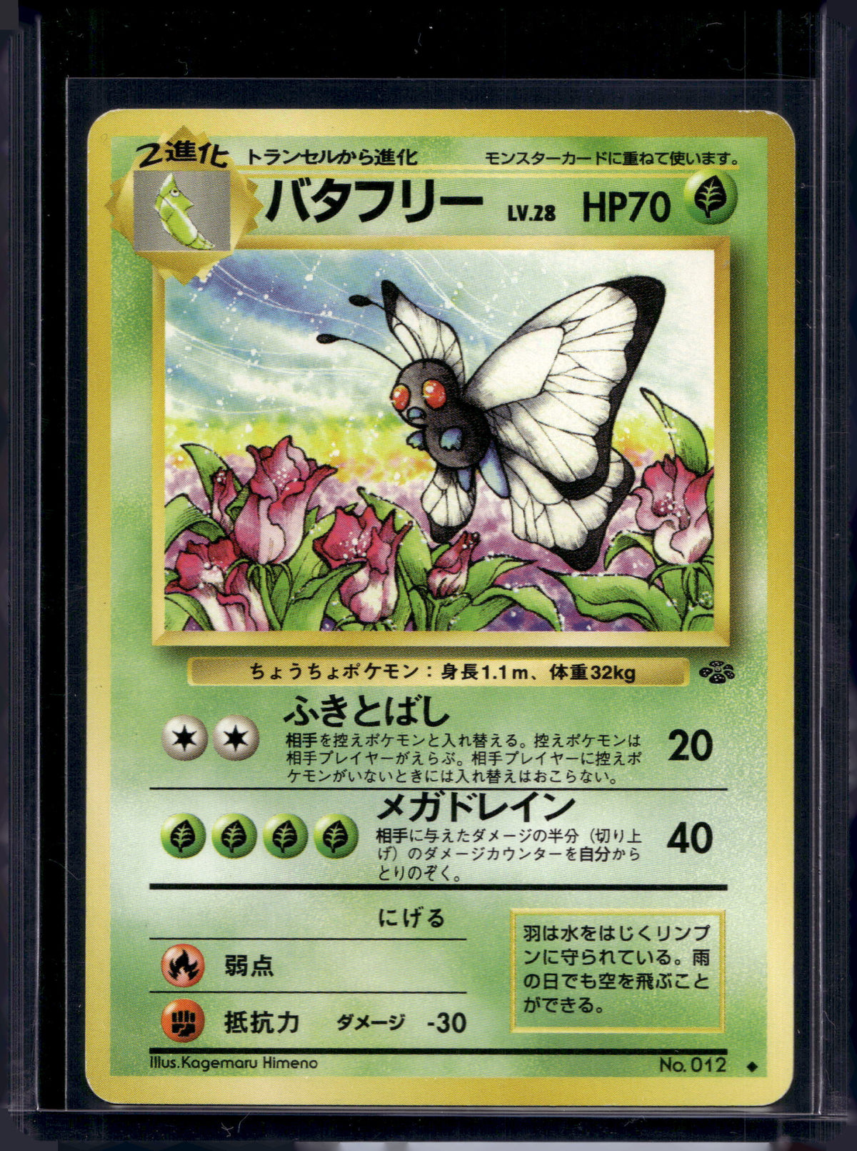 Butterfree (Jungle - Japanese - Unlimited) No.012 Raw