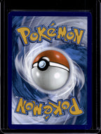 Blastoise Ex 009/165 Raw RookieLegends