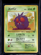 Venonat (Jungle - Japanese - Unlimited) No.048 Raw