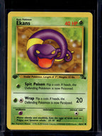 Ekans (Fossil - 1St Edition) 46/62 Raw