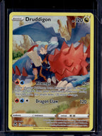 Druddigon TG09/TG30 Raw