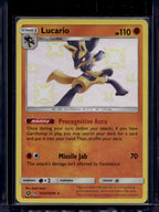 Lucario SV22/SV94 Raw