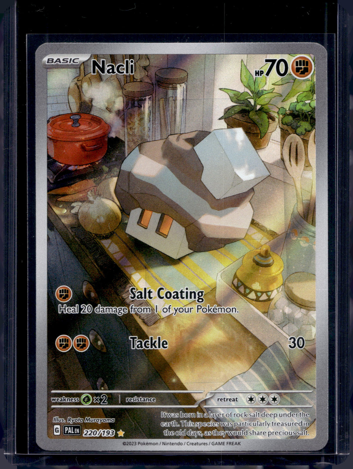 Nacli 220/193 Raw