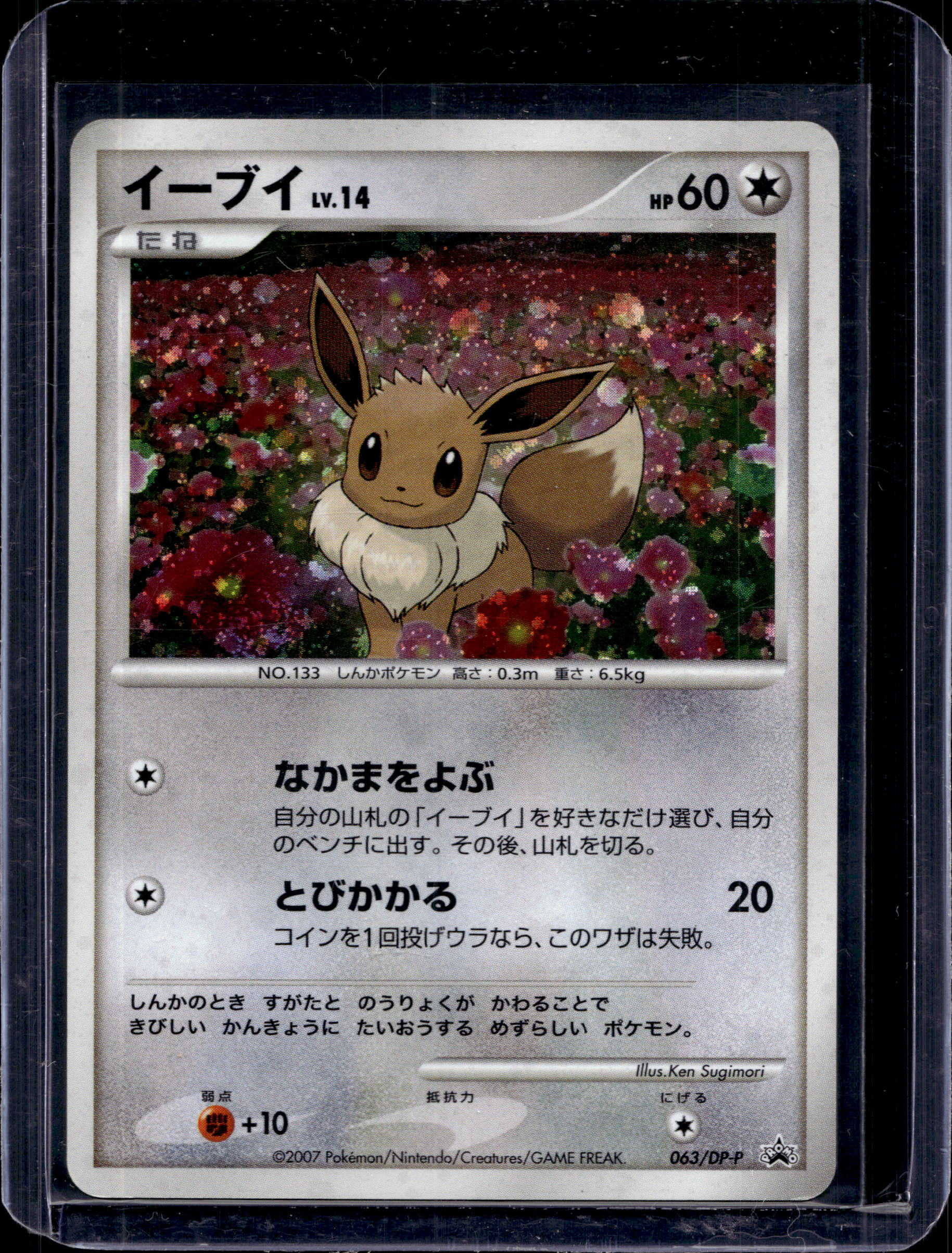 Eevee (JP) 063/DP-P Raw - RookieLegends