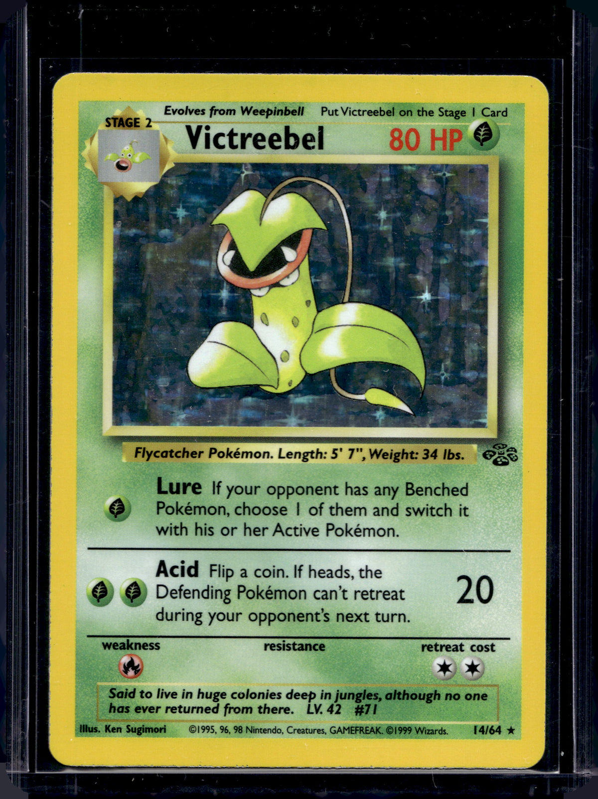 Victreebel (Jungle - Holofoil) 14/64 Raw