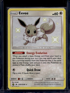 Eevee SV41/SV94 Raw