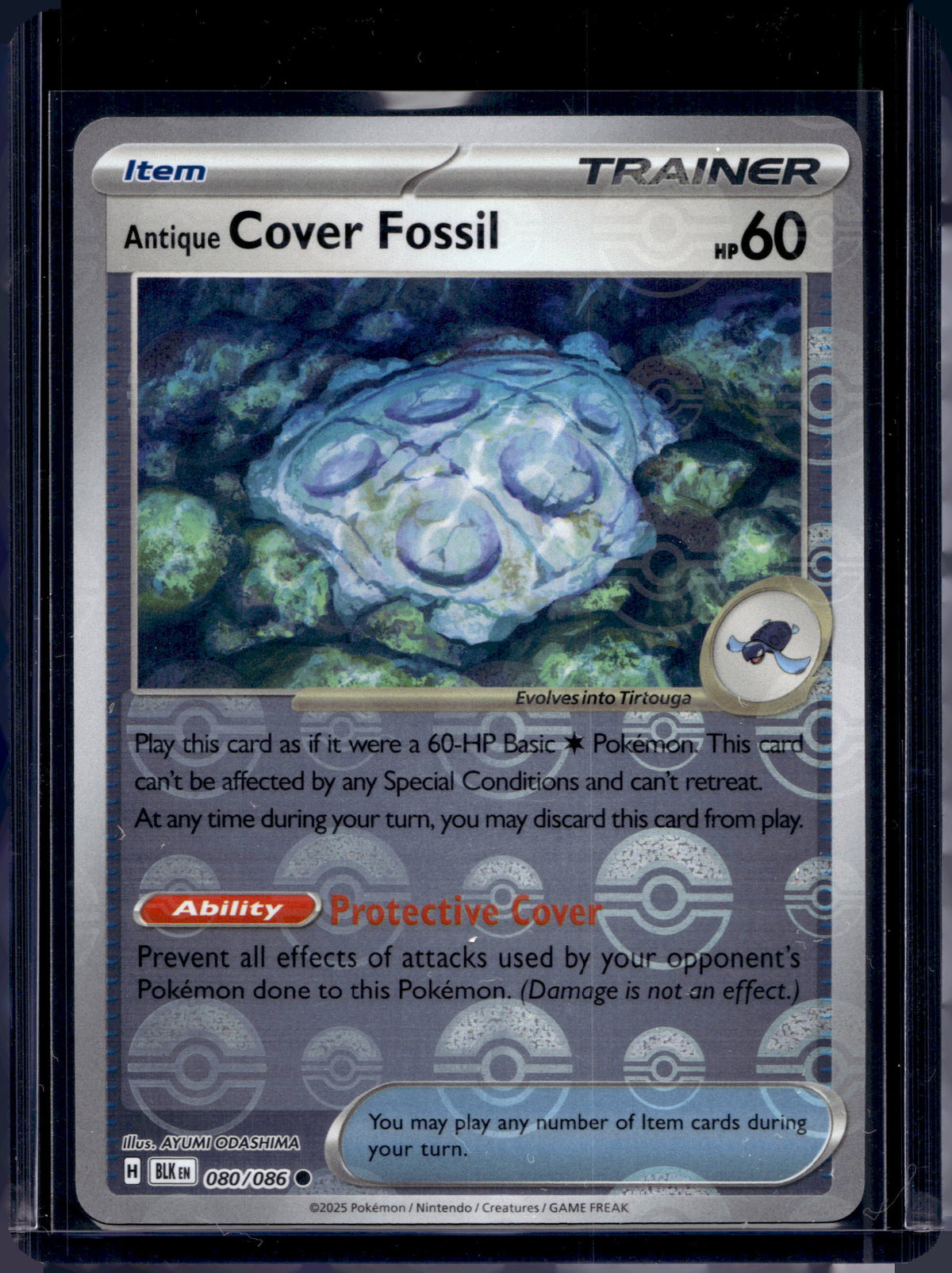 Antique Cover Fossil (Poke Ball Pattern) 080/086 Raw RookieLegends