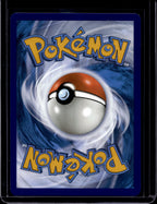 Gardevoir ex 245/198 Raw
