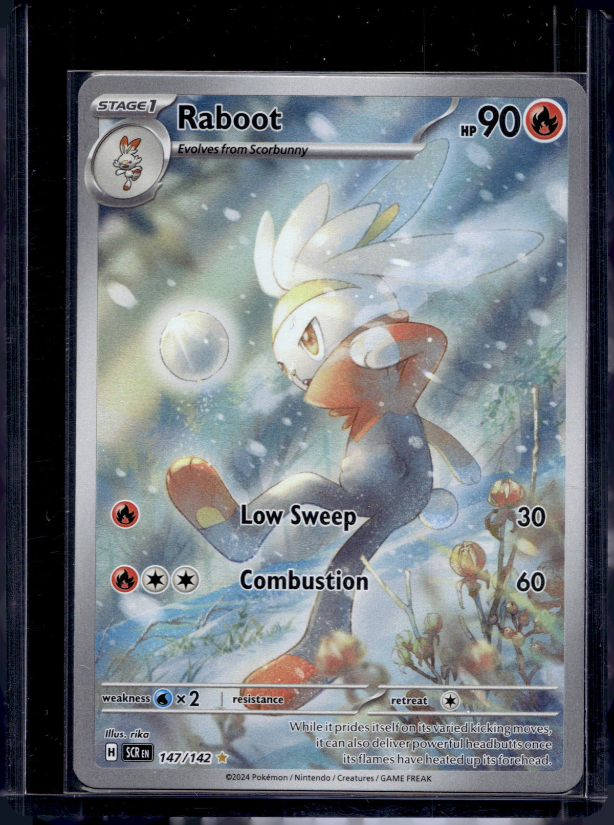 Raboot 147/142 Raw