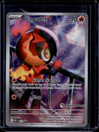 Charcadet (Pokemon Center Exclusive) 022 Raw