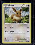 Eevee 12/12 Holofoil Raw - RookieLegends