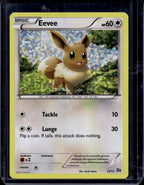 Eevee 12/12 Holofoil Raw - RookieLegends
