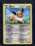 Eevee 89/116 Raw RookieLegends