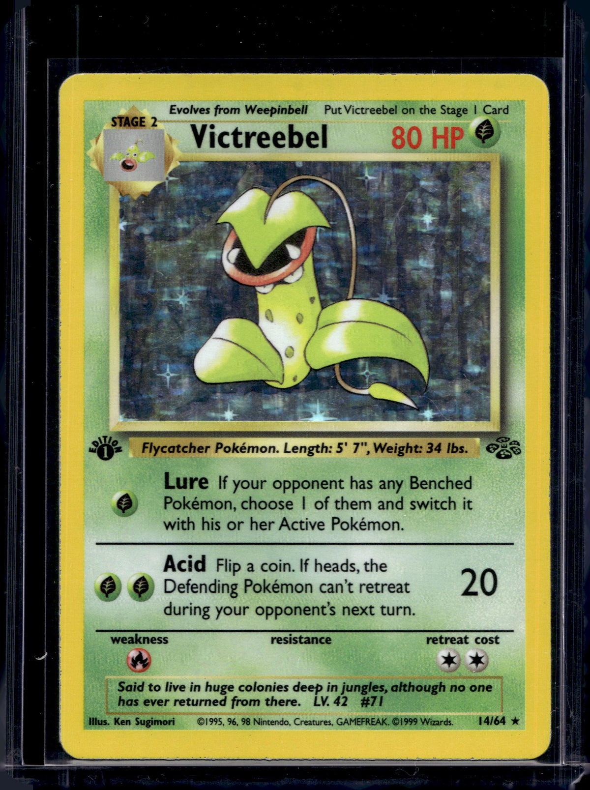 Victreebel (Jungle - 1st Edition Holofoil) 14/64 Raw