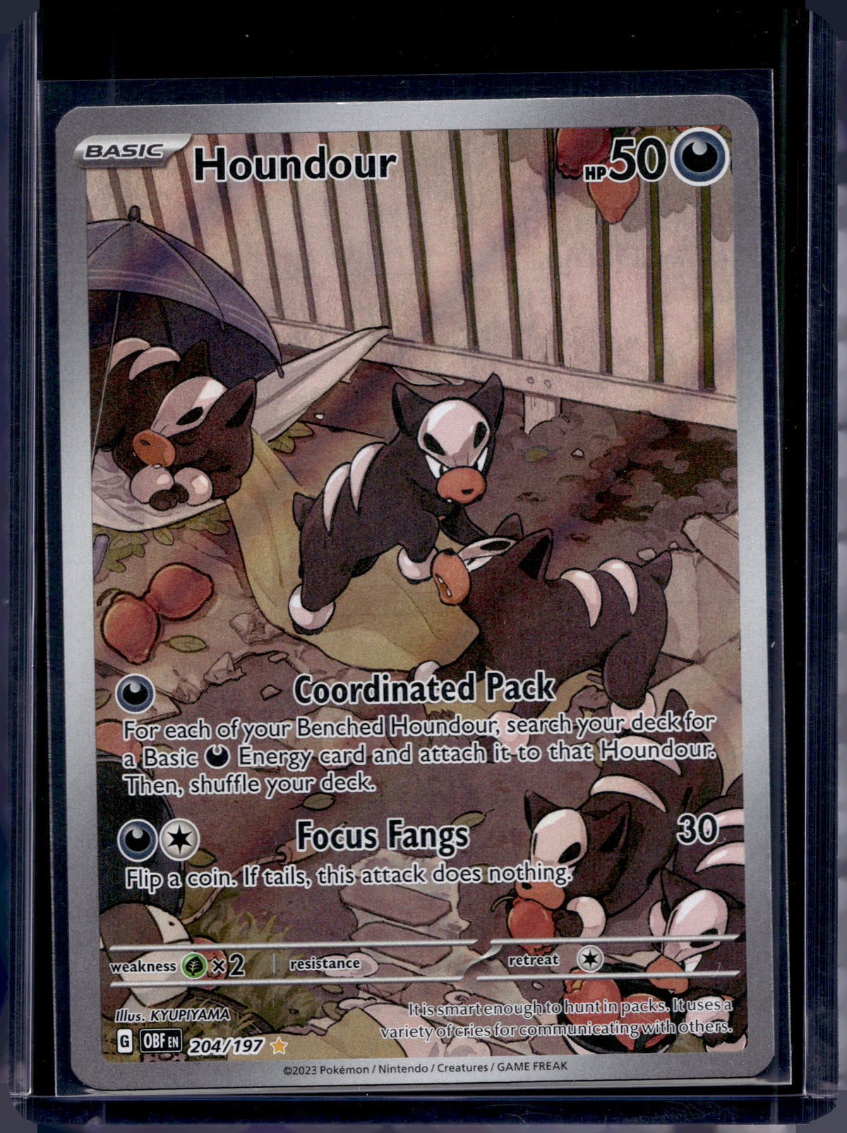 Houndour 204/197 Raw
