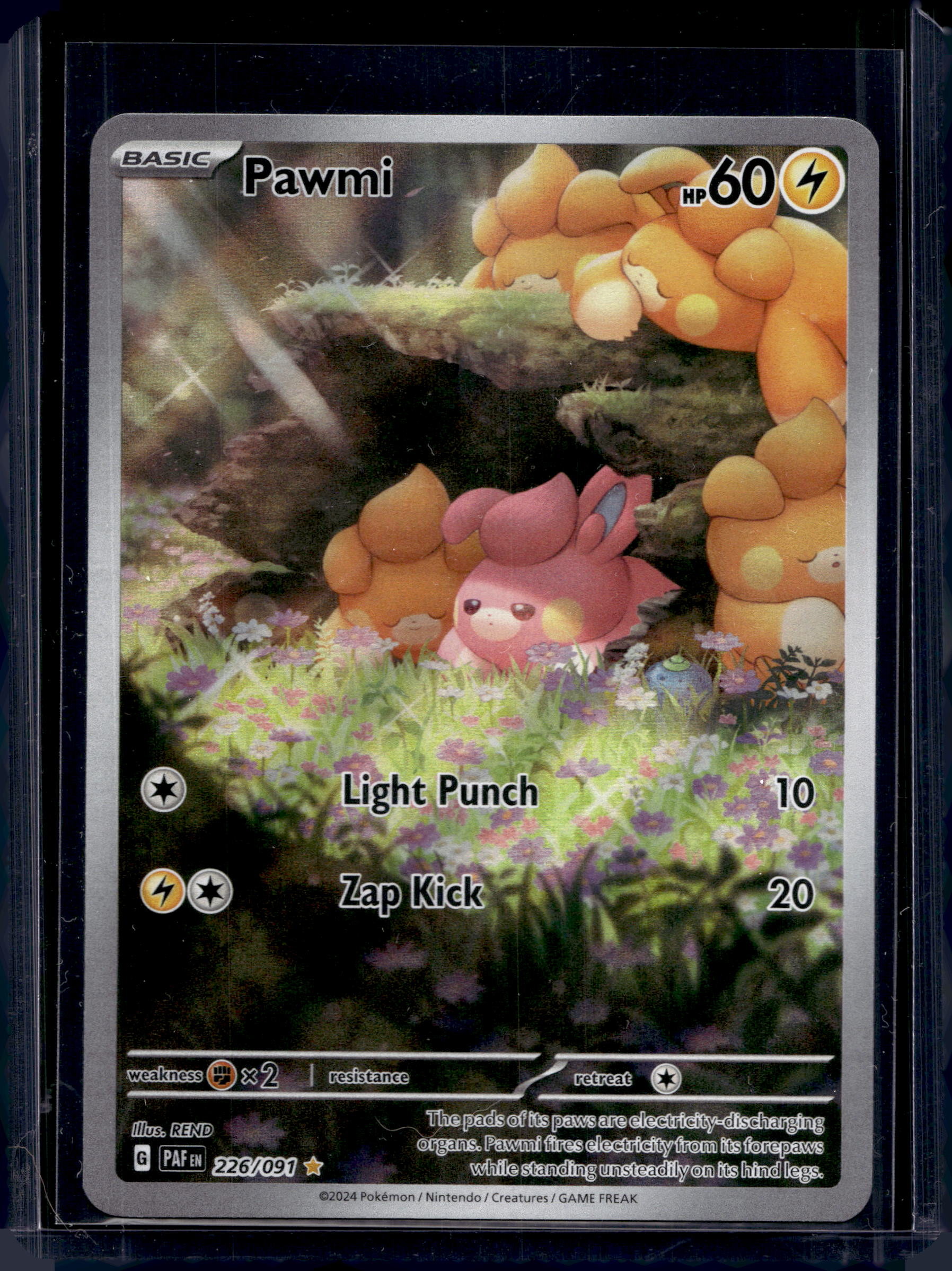 Pawmi 226/091 Raw RookieLegends