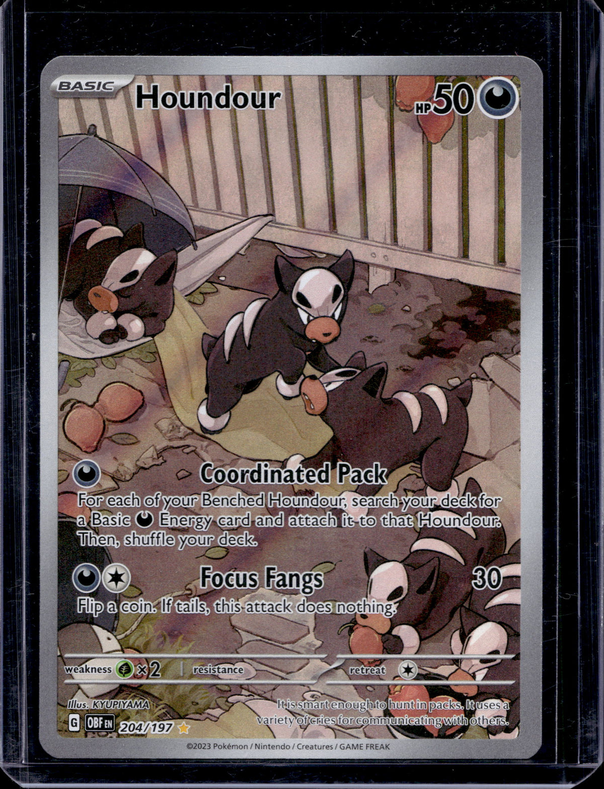 Houndour 204/197 Raw