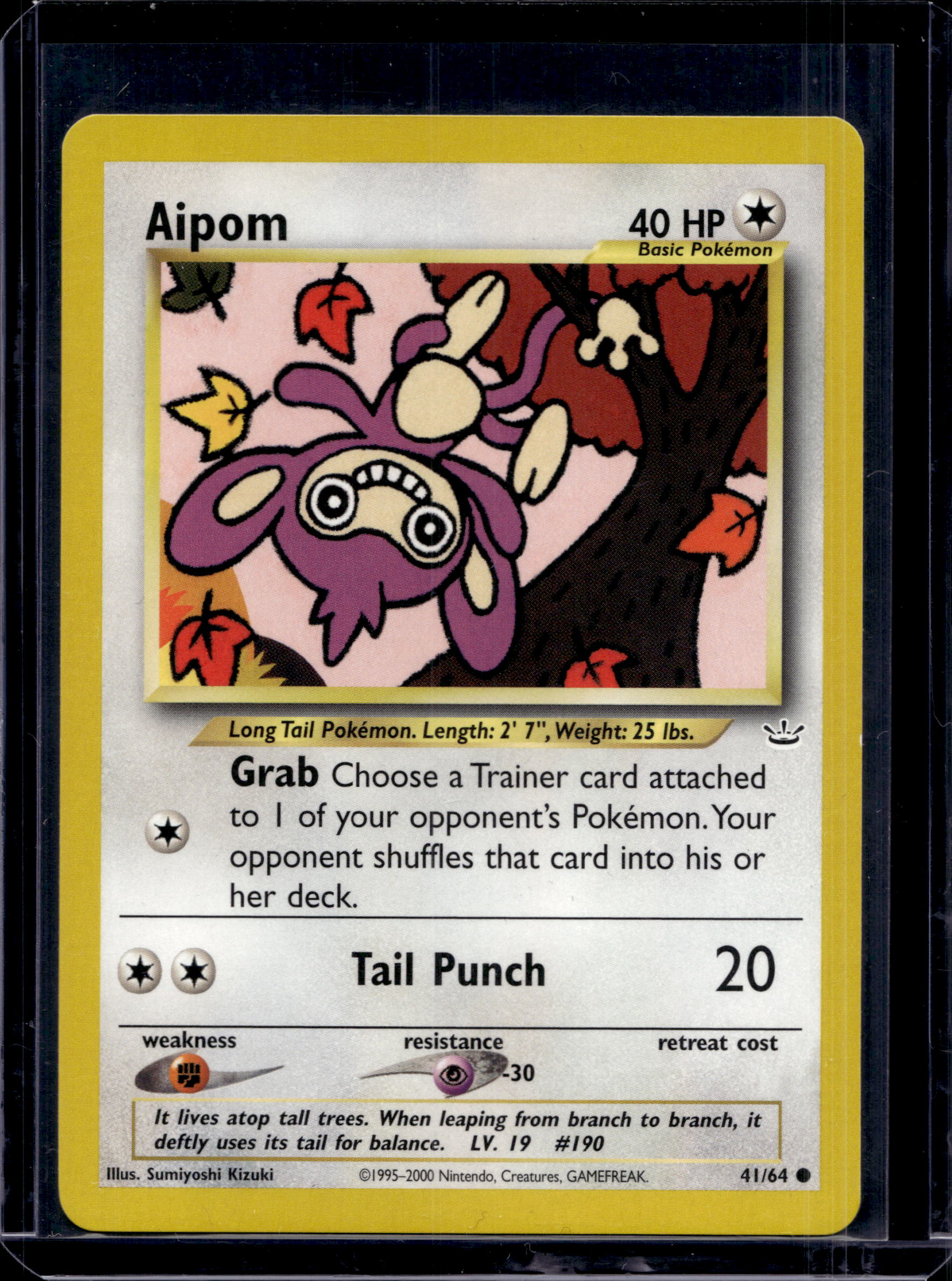 Aipom 41/64 Raw