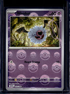 Woobat (Poke Ball Pattern) 036/086 Raw RookieLegends