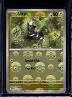 Blitzle (Poke Ball Pattern) 031/086 Raw RookieLegends