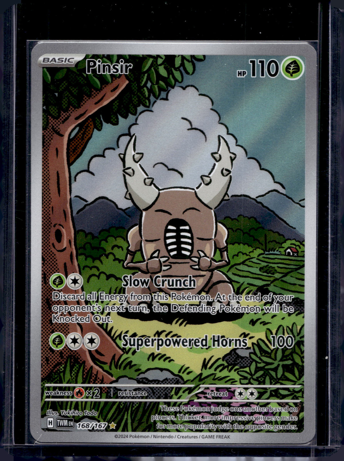 Pinsir 168/167 Raw