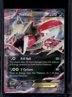 Yveltal EX XY150 Raw
