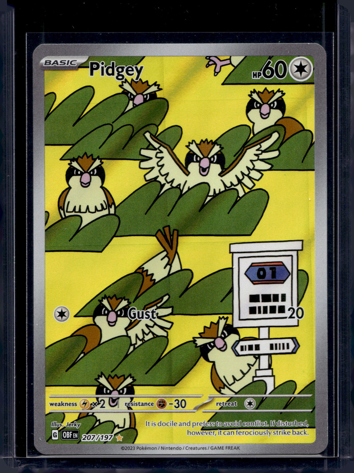 Pidgey 207/197 Raw