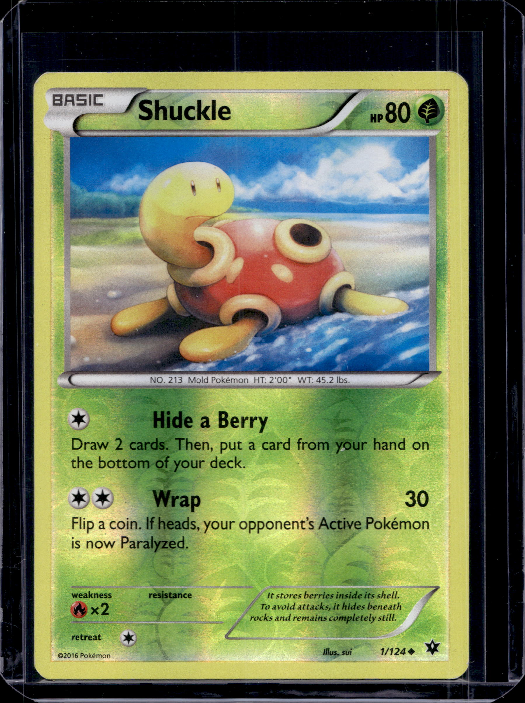 Shuckle 1/124 Raw